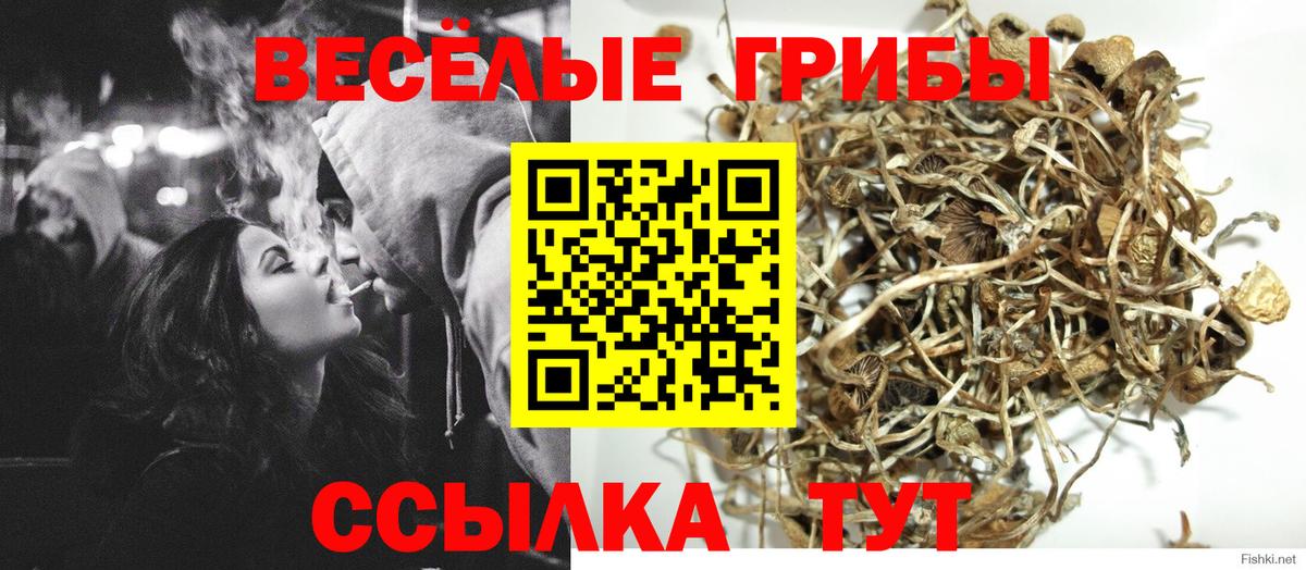Галлюциногенные грибы ЛСД Салехард
